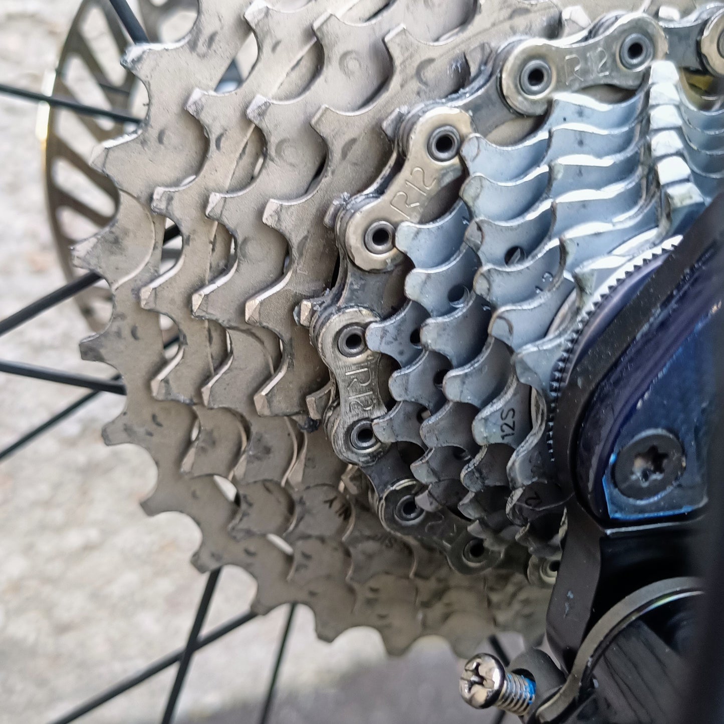 Sarto Lampo Plus x Campagnolo, taille L (bleu/noir)