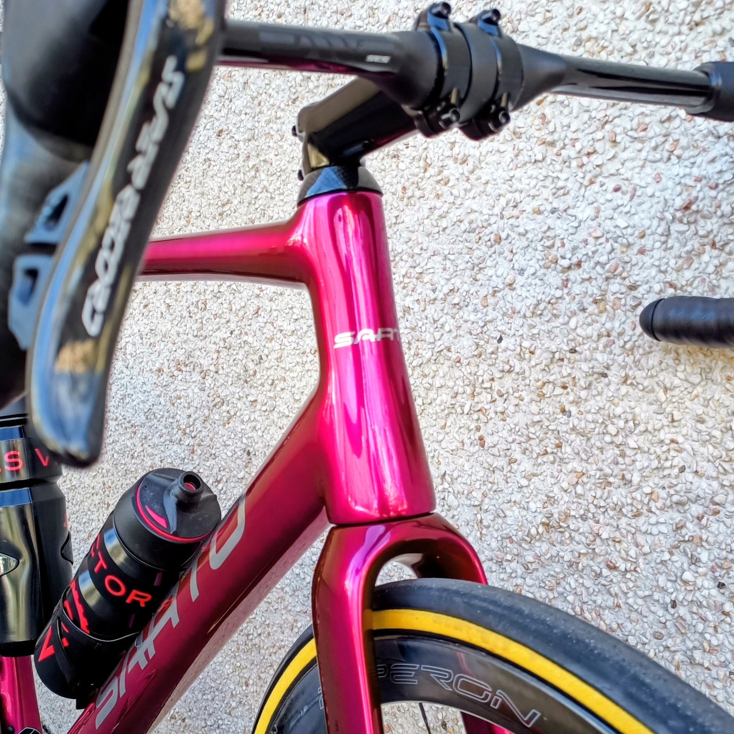 Sarto Seta full Campagnolo