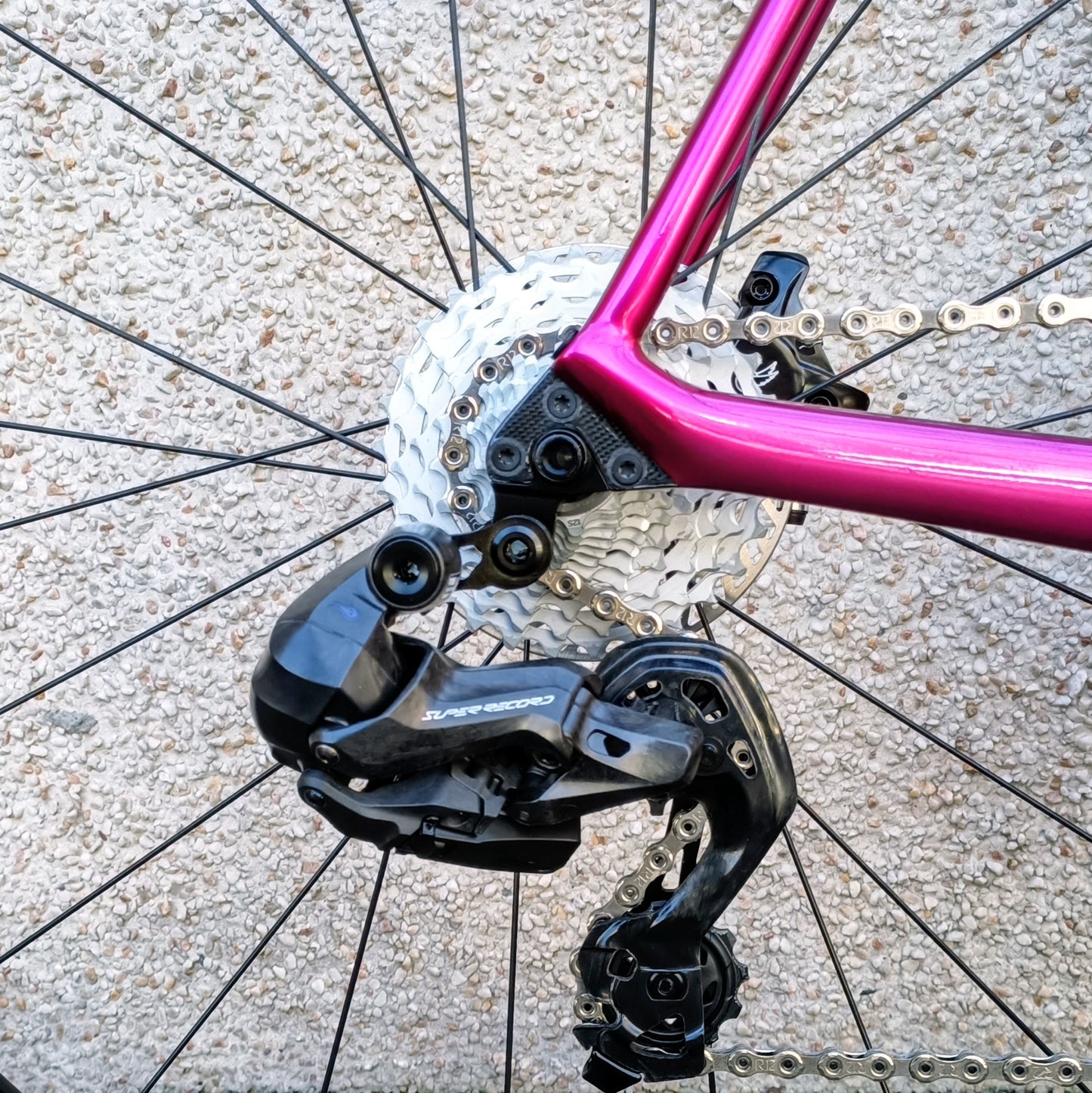 Sarto Seta full Campagnolo