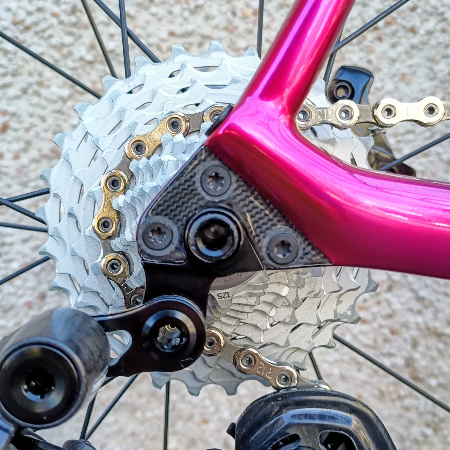 Sarto Seta full Campagnolo