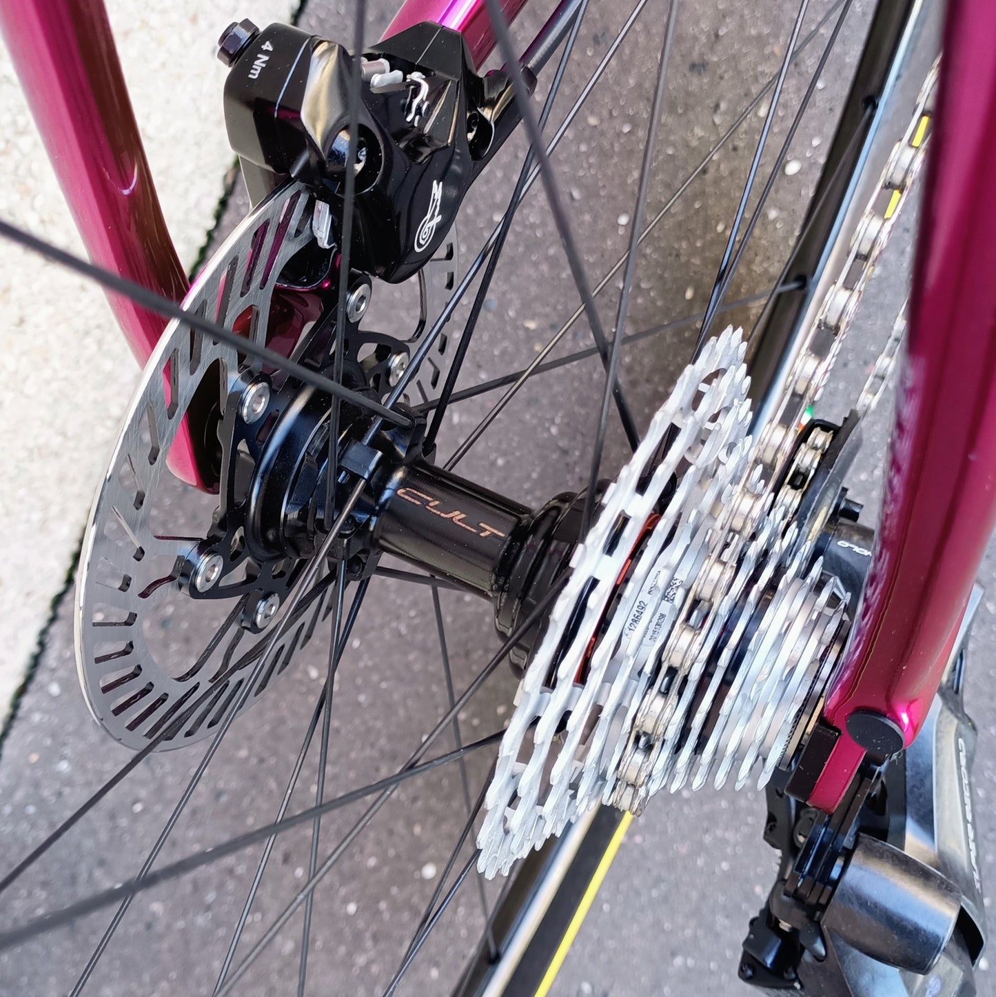Sarto Seta full Campagnolo