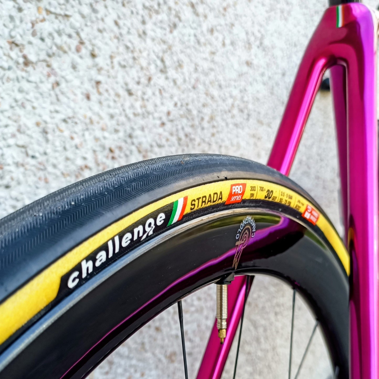 Sarto Seta full Campagnolo