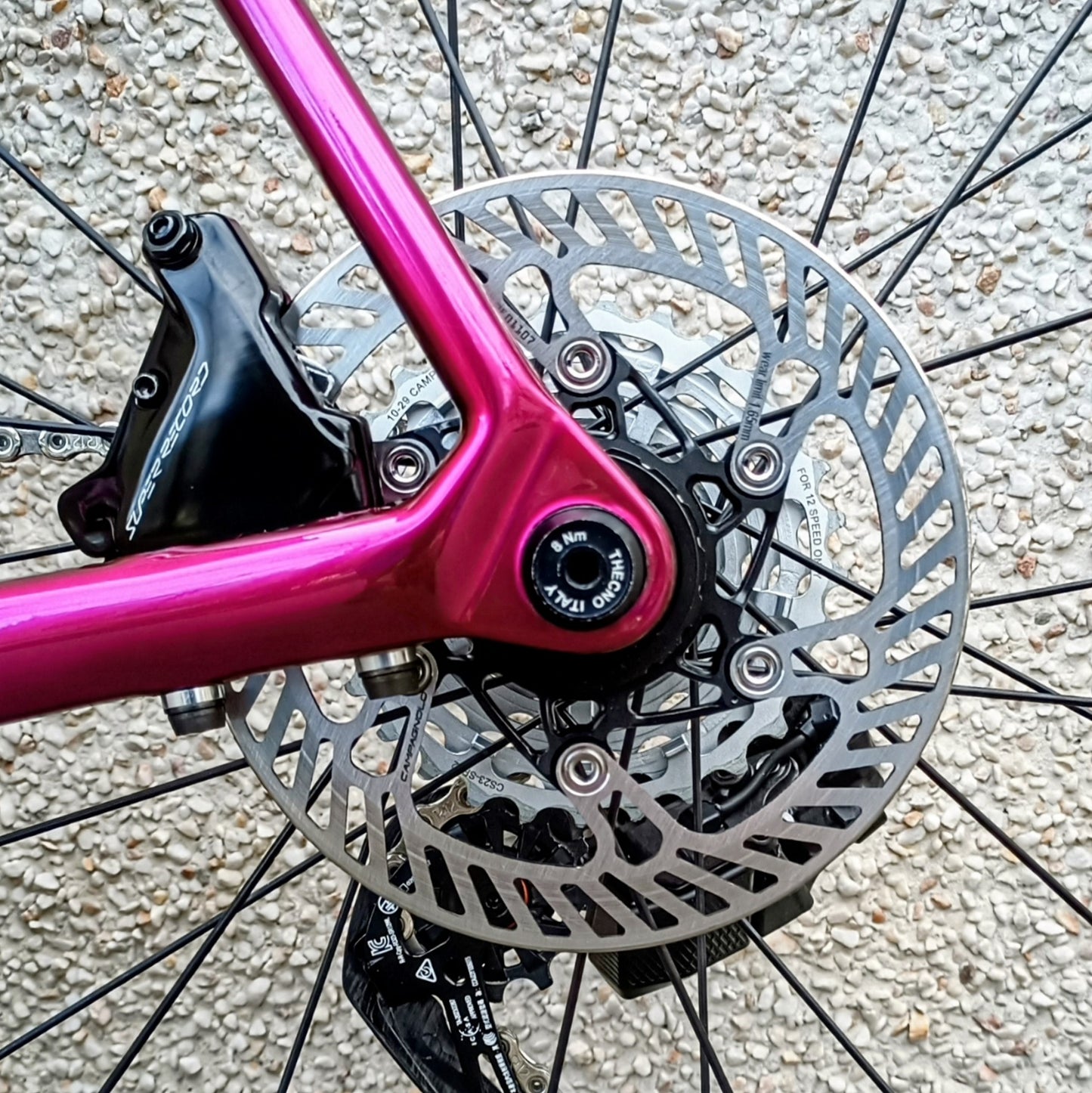 Sarto Seta full Campagnolo