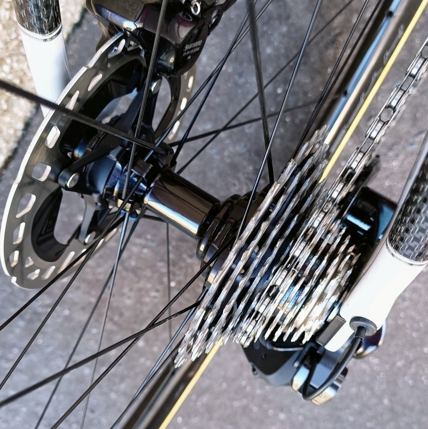 Sarto Seta Plus tri-composite (blanc/carbone)