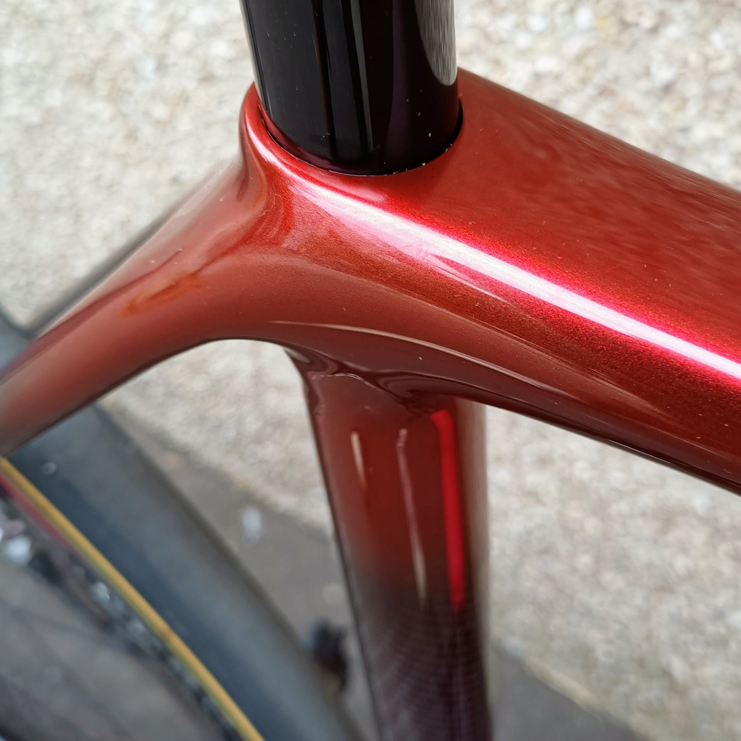 Sarto Seta Plus tri-composite (rouge/carbone)